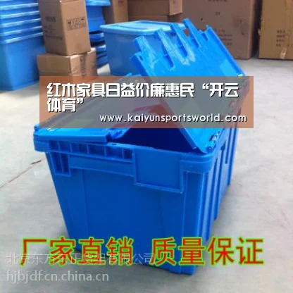 开云竞猜