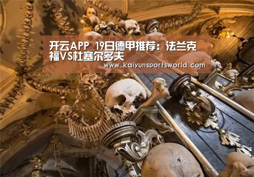 开云APP_19日德甲推荐:法兰克福VS杜塞尔多夫(图2) 开云竞猜