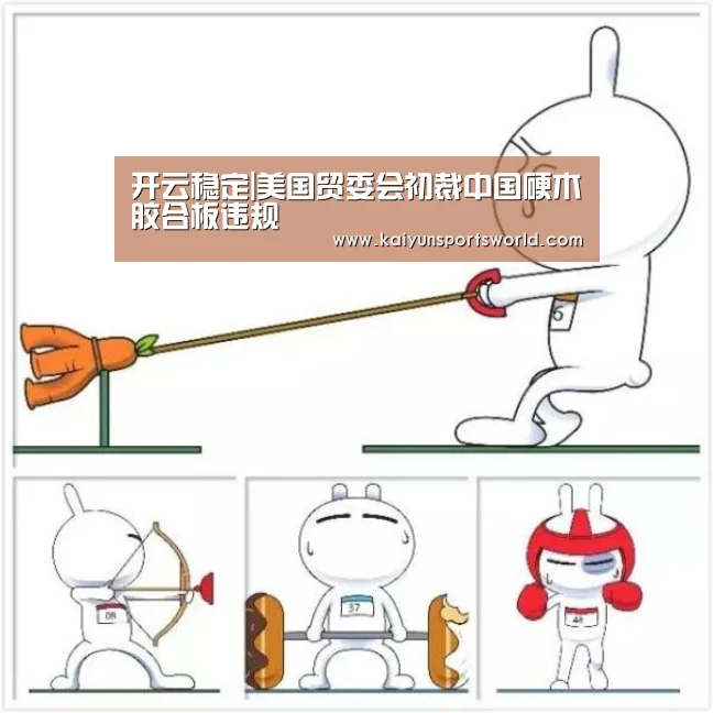 开云稳定|美国贸委会初裁中国硬木胶合板违规(图2) 开云体育