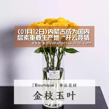 (01月12日)内蒙古成为国内尿素重要生产地“开云竞猜”(图2) 开云APP
